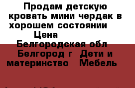 Продам детскую кровать мини-чердак в хорошем состоянии.  › Цена ­ 10 000 - Белгородская обл., Белгород г. Дети и материнство » Мебель   